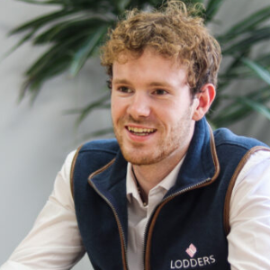 Lodders Solicitors