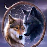Avatar of WOLF WOLF